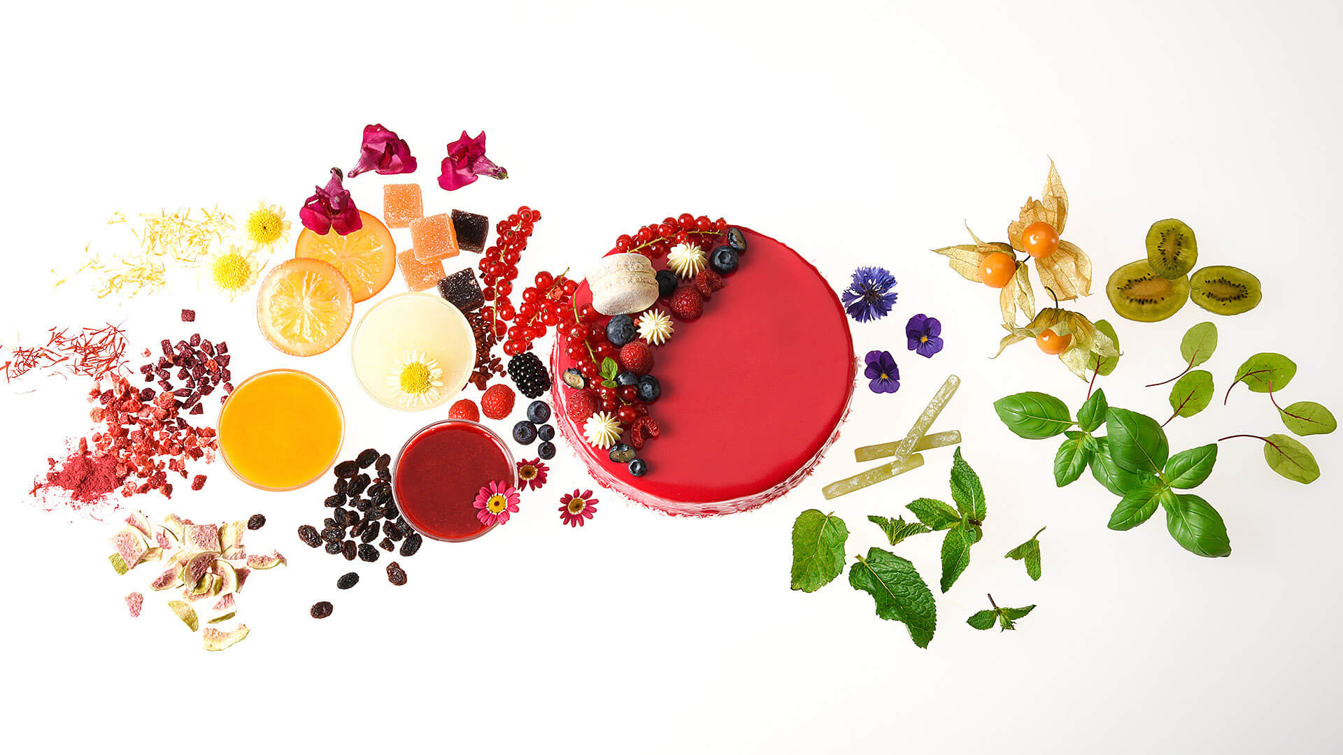 Torten fotografieren Früchte lecker Kräuter appetitlich Ulm leckere Kuchen Fotos Confiserie Großhandel Imagefotografie Ulm eifertfotografie Werbefotografie Patisserie kandierte Früchte Fruchtig köstlich